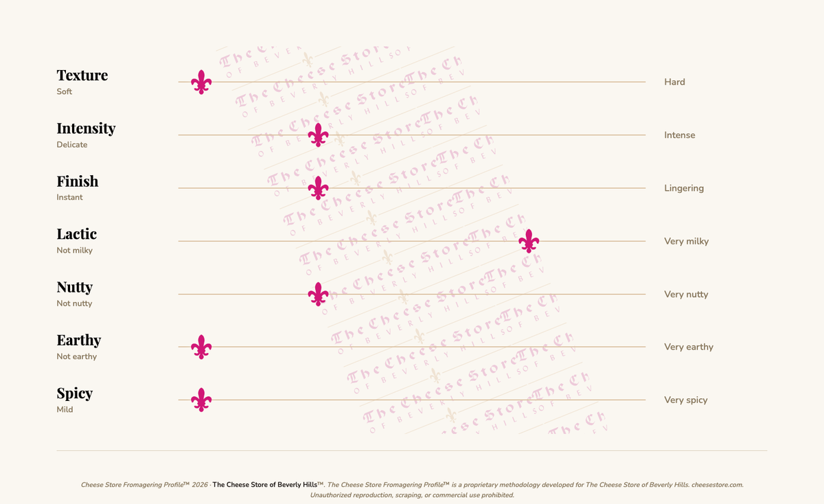 Ricotta chocolate (200g) tasting profile