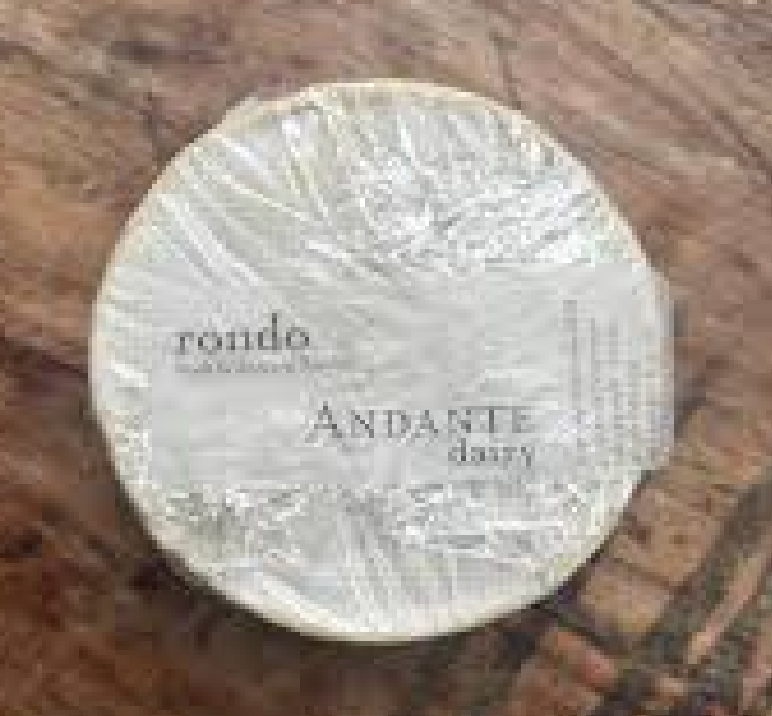 Andante Dairy Mini Rondo mini (4.5oz)