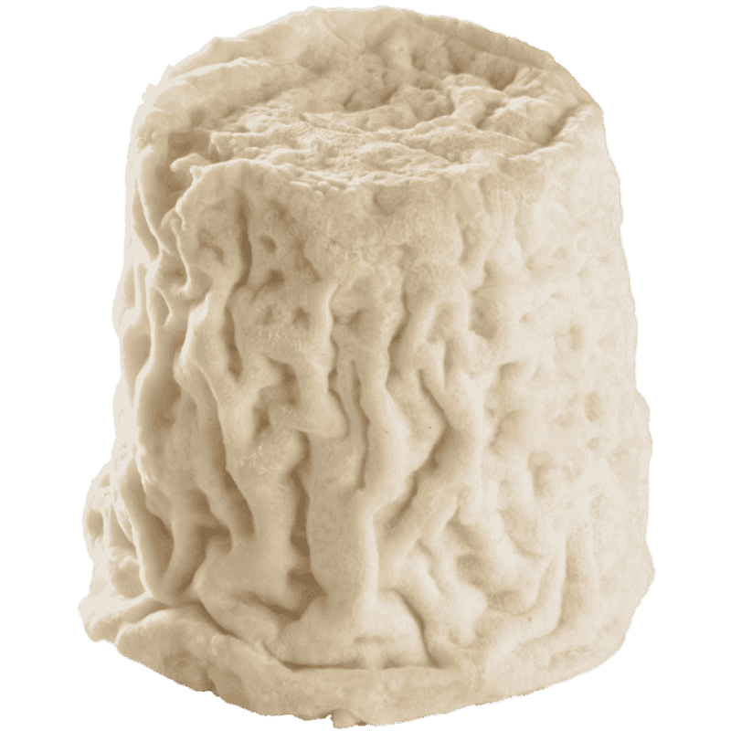 Chabichou Du Poitou (150g)