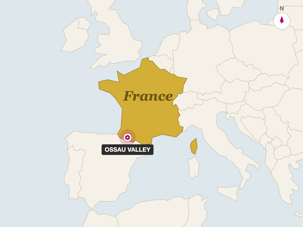 Tome Pardou Chevre Montagne origin map