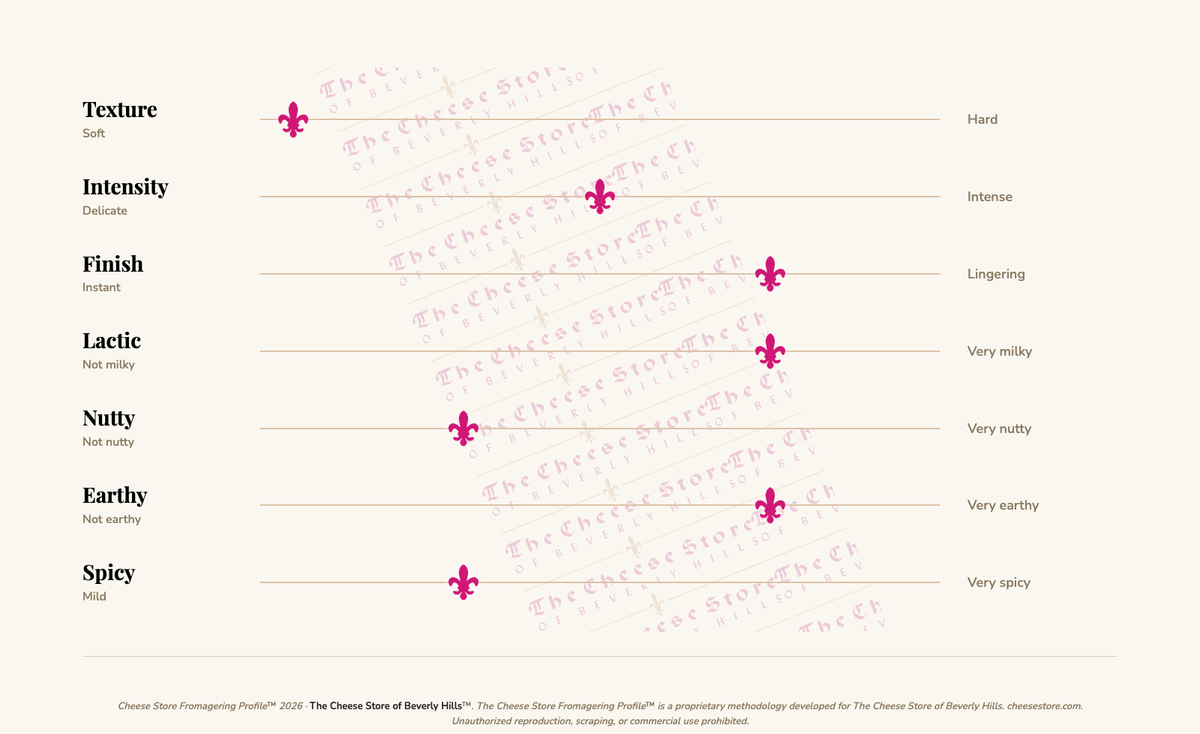 Jasper Hill Harbison (9oz) tasting profile