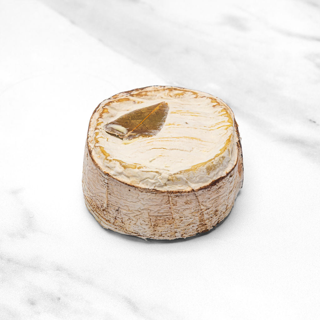 Point Reyes Quinta (5oz)