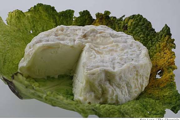 Robiola Capra Incavolata (250g)