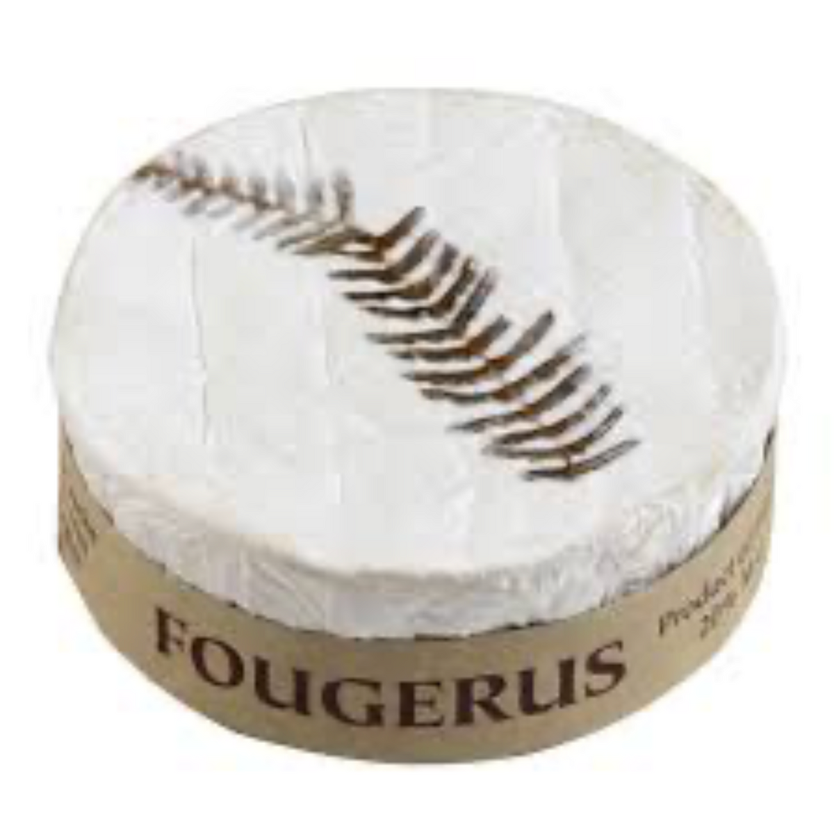 Fougerus