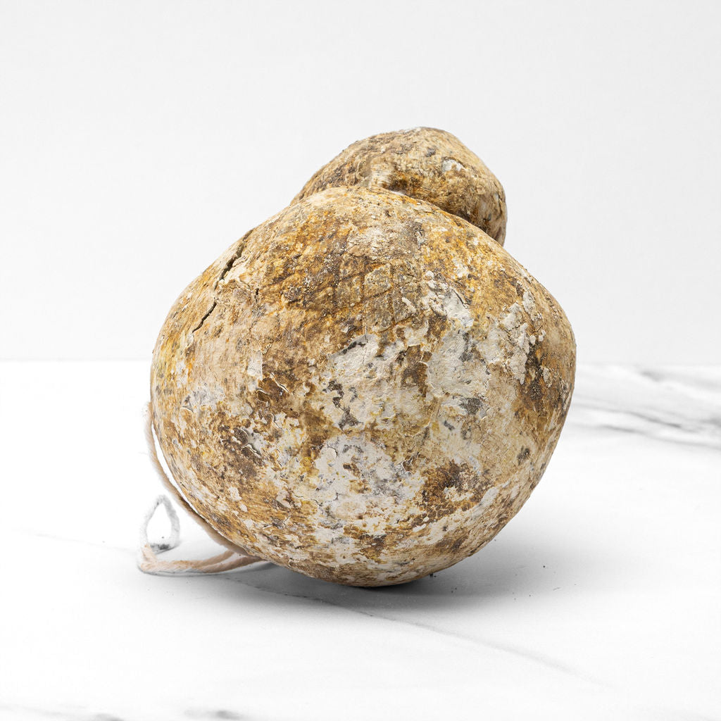 Casolare Caciocavallo Fresco (lbs.)