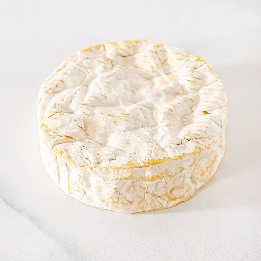 Camembert Rodolphe Cheese