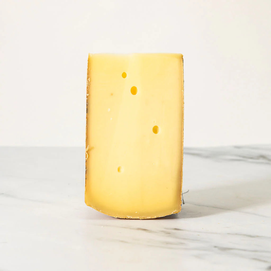 Appenzeller Edel 9 Months
